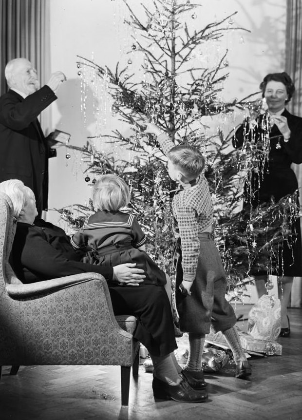 #41 Danish Christmas