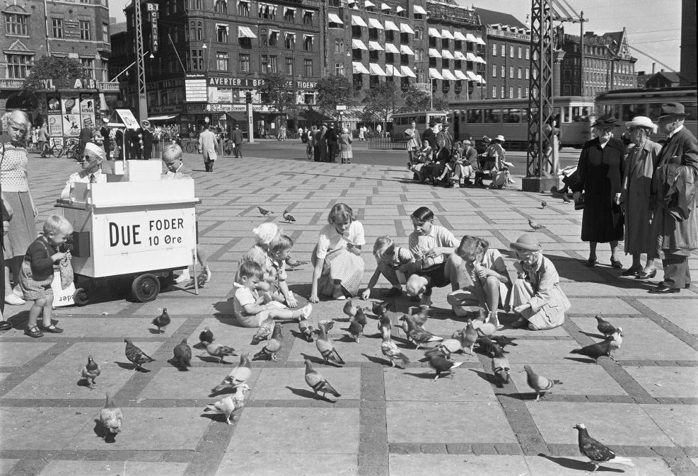 #53 Feeding the pigeons