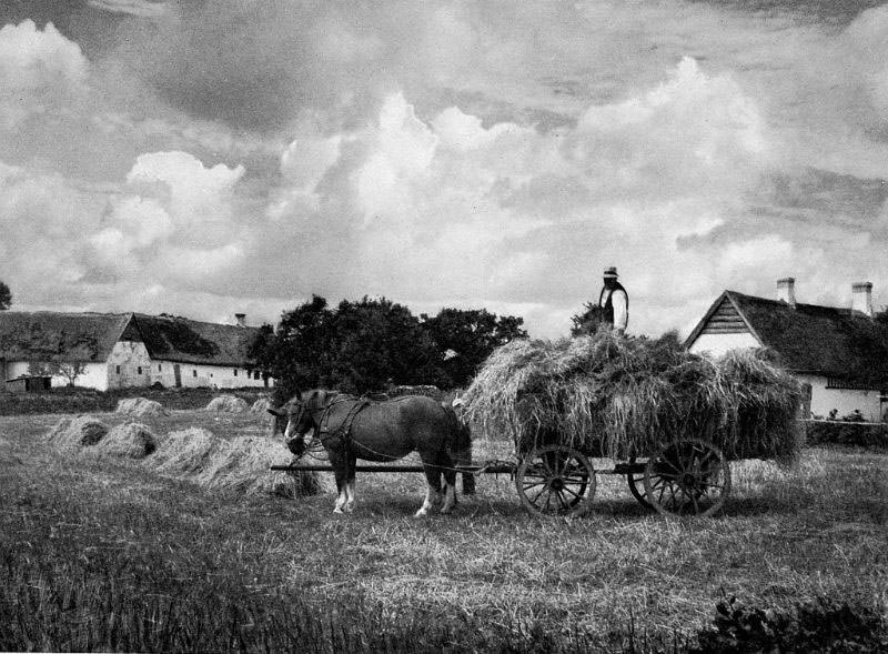 #3 Eskildstrup, Falster