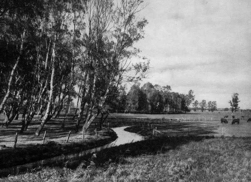 #13 Halsted Aa, Lolland