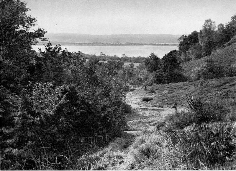 #16 Alling Bakker, Midtjylland