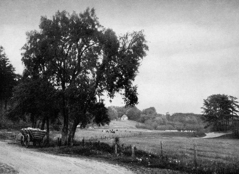 #17 Bækkelund, Midtjylland