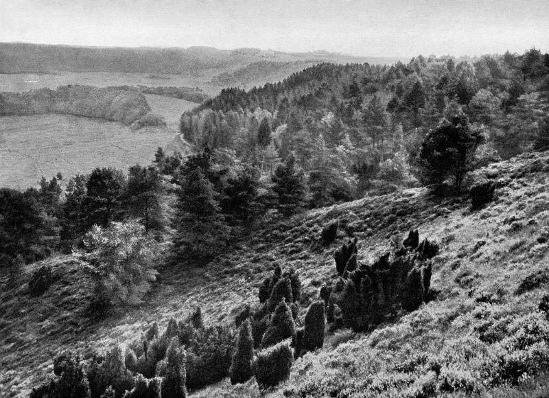 #18 Dollrup Bakker, Midtjylland