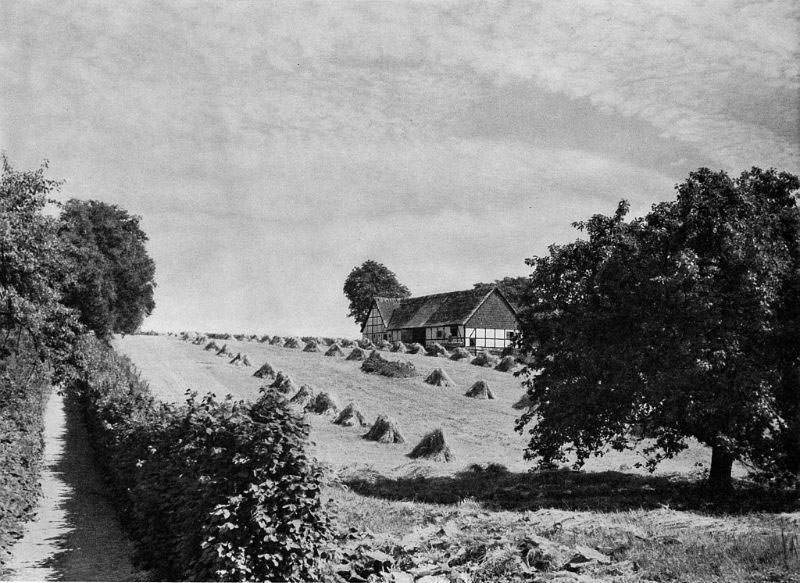 #4 Gundslevmagle, Falster