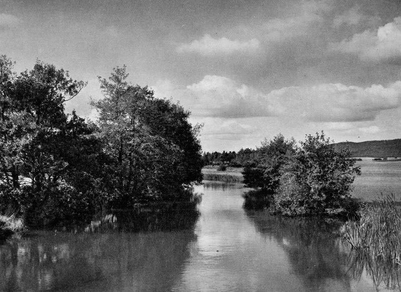 #27 Rye Bro, Midtjylland