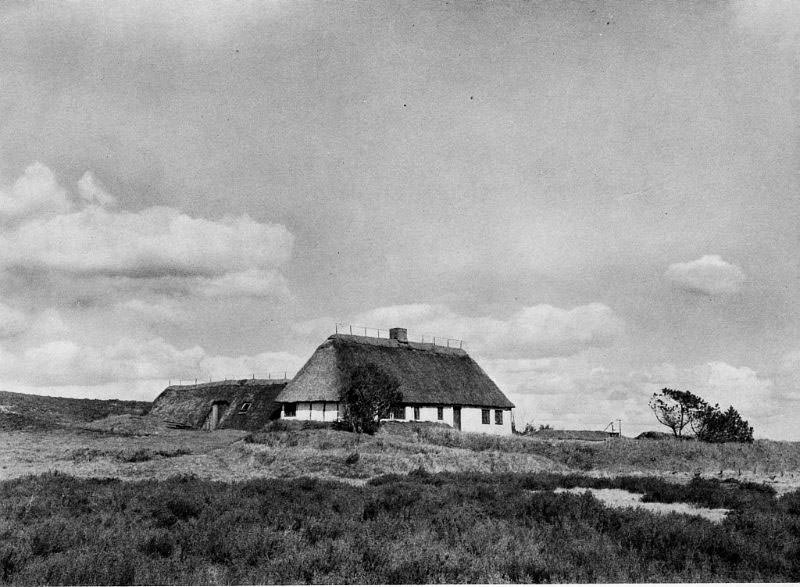 #1 Stavlundhede, Midtjylland