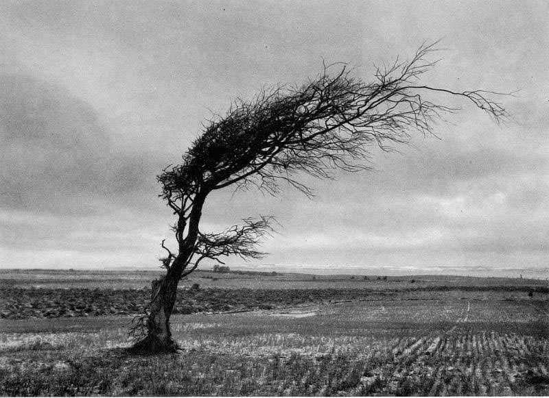 #2 Asnæs Pynten, Vestsjælland