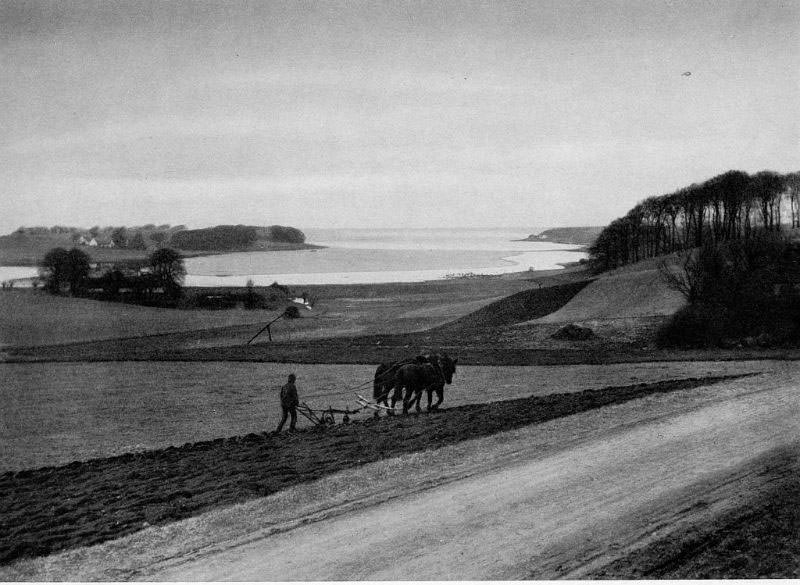 #37 Bramsnæsvig, Vestsjælland