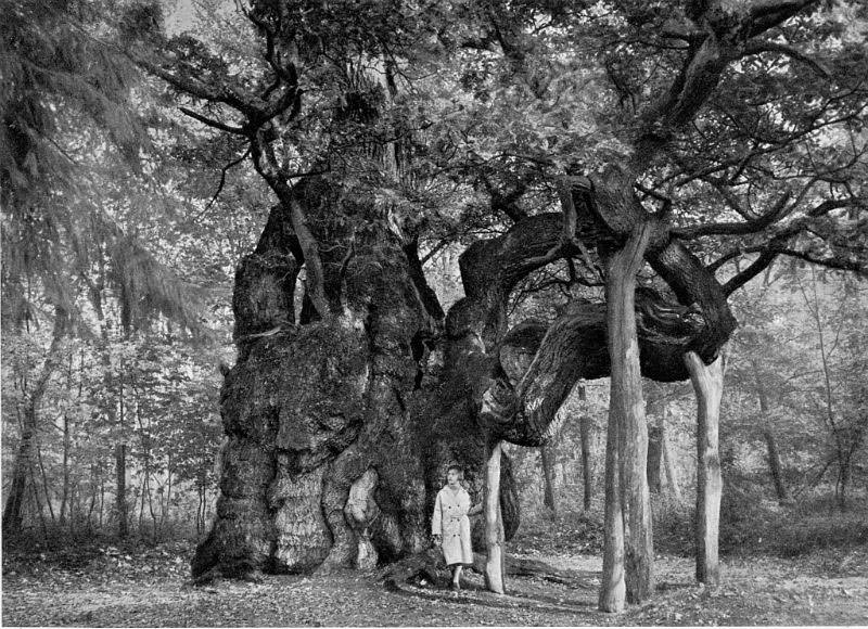 #39 Jægerspris, Vestsjælland