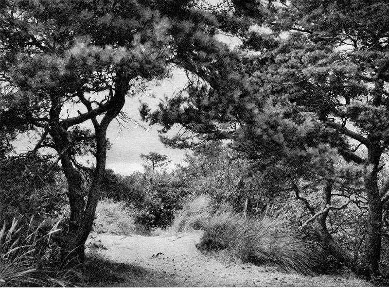 #47 Rørvig, Vestsjælland