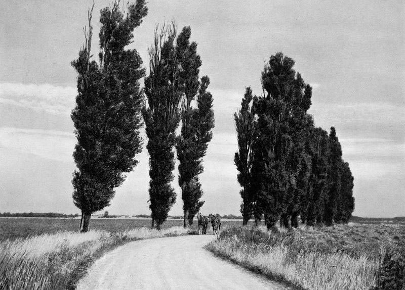 #7 Vennerslund, Falster