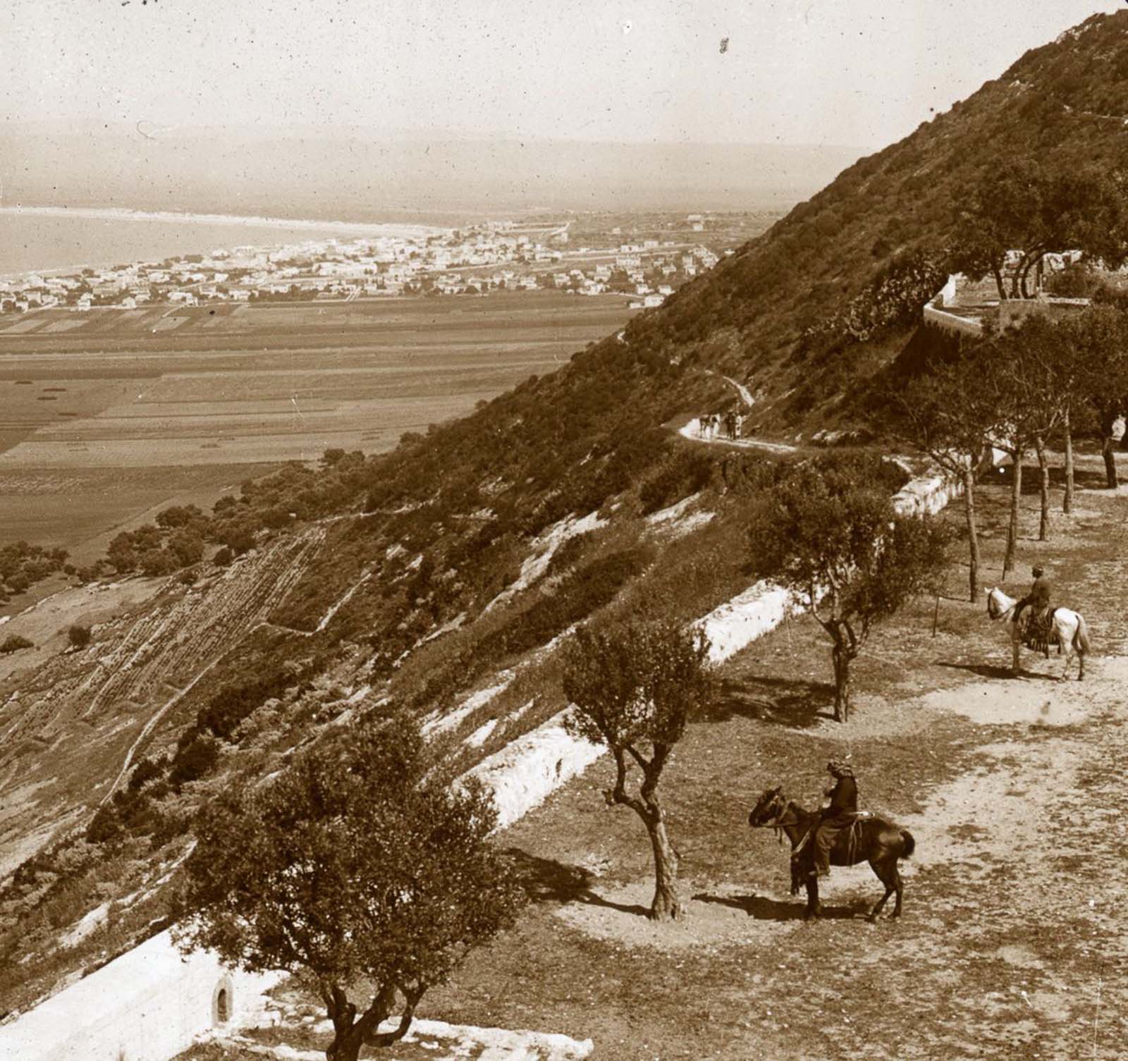 #15 Mount Carmel and the Bay of Haifa.
