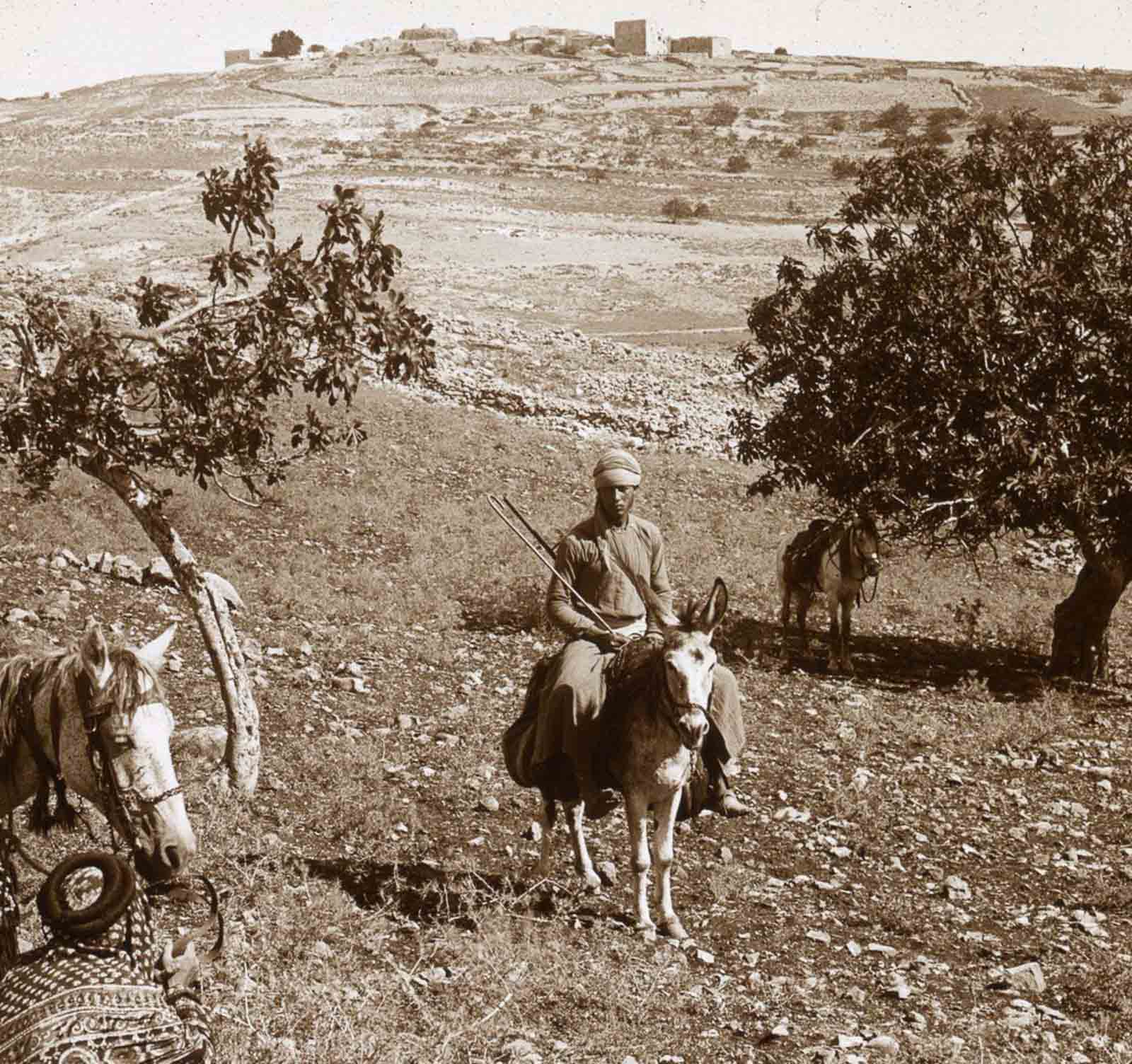 #21 Ramah from the south.