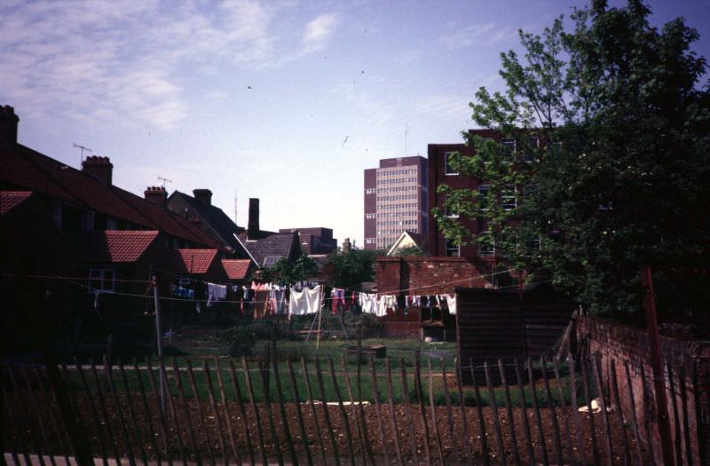 #17 Looking north to The Civic Centre from Gt Gipping St over the back gardens in Little Gipping St