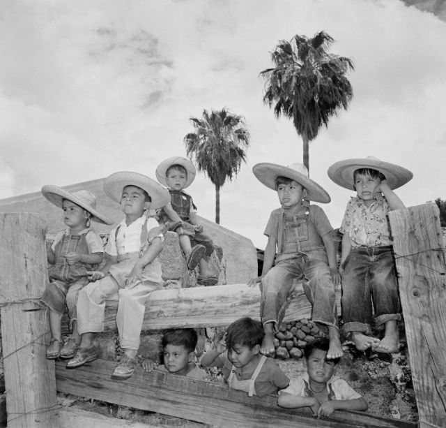 #6 Little boys sit on the fence at a ranch in Michoacan.
