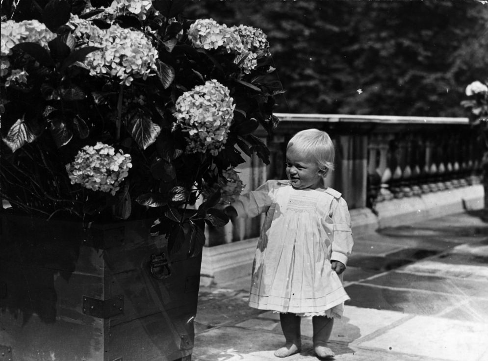 #7 Philip at just one year old.