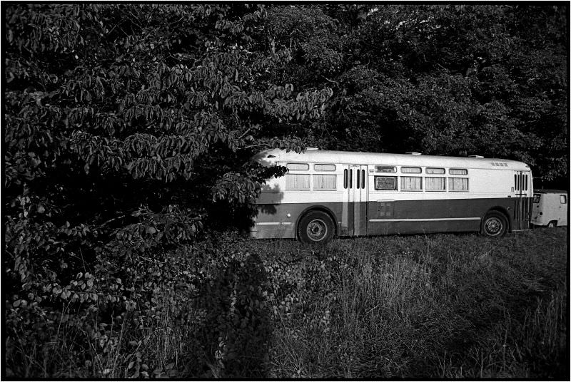 #8 Bus in the woods
