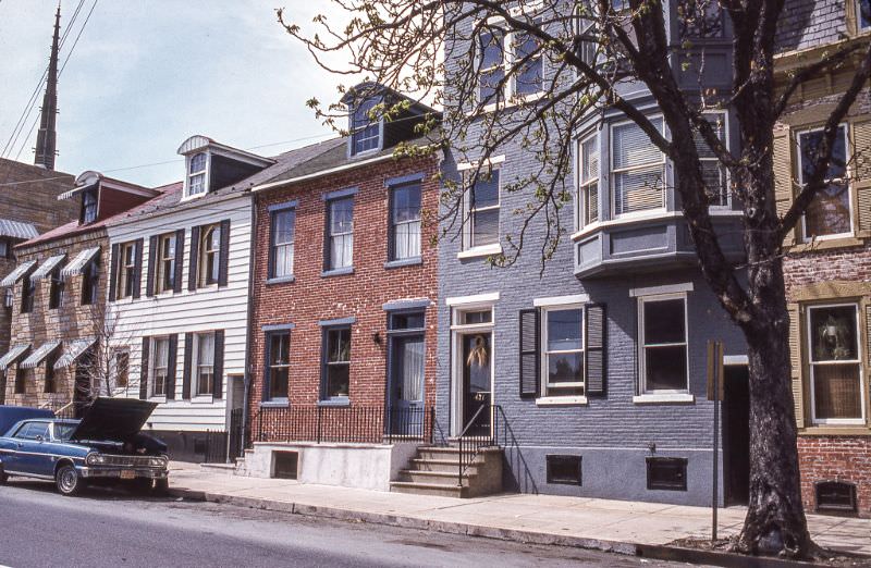 #25 Along Walnut Street