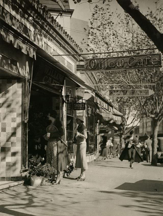 #42 Darlinghurst Rd, 1933