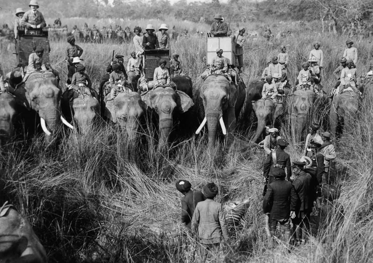 #1 King George V (center right) inspects a killed tiger from atop an elephant.