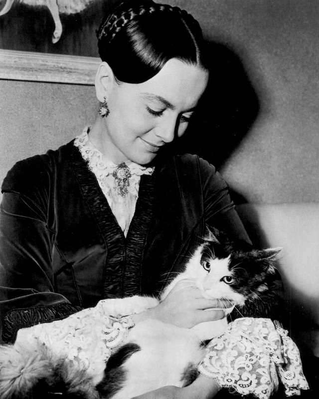 #24 Olivia de Havilland