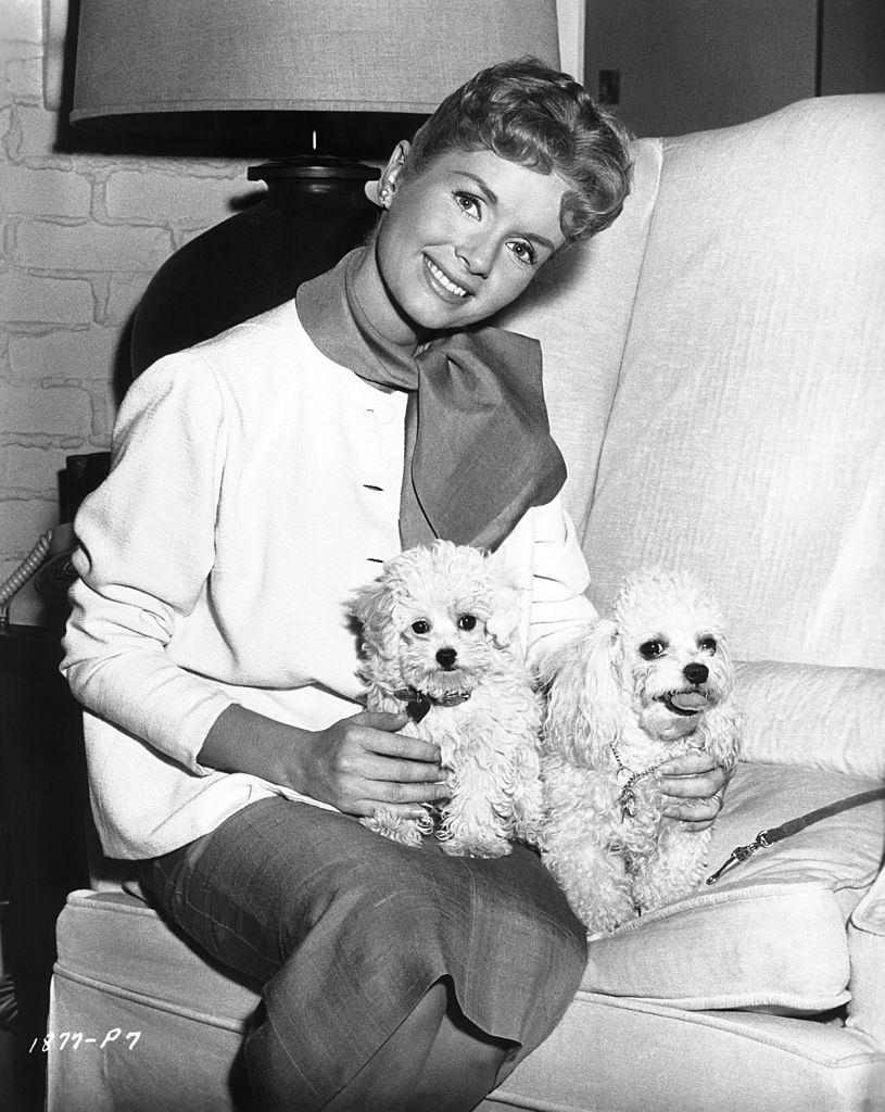 #56 Debbie Reynolds with puppies, 1955.