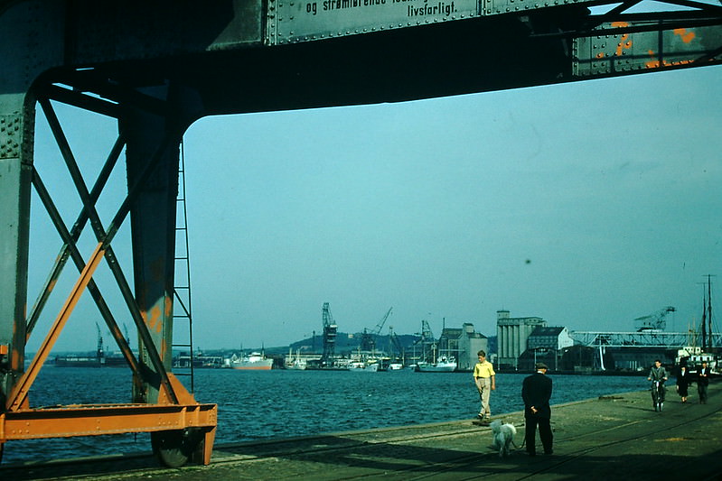 #11 Limfjorden at Aalborg, Denmark, 1954