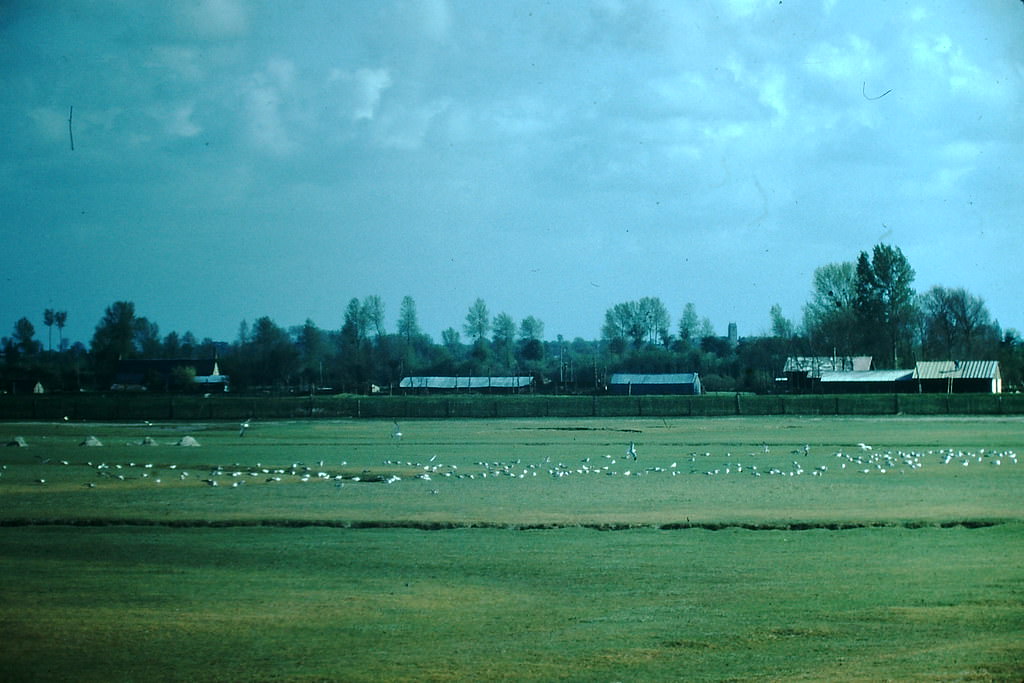 #14 Near Mont St Michel, France, 1954