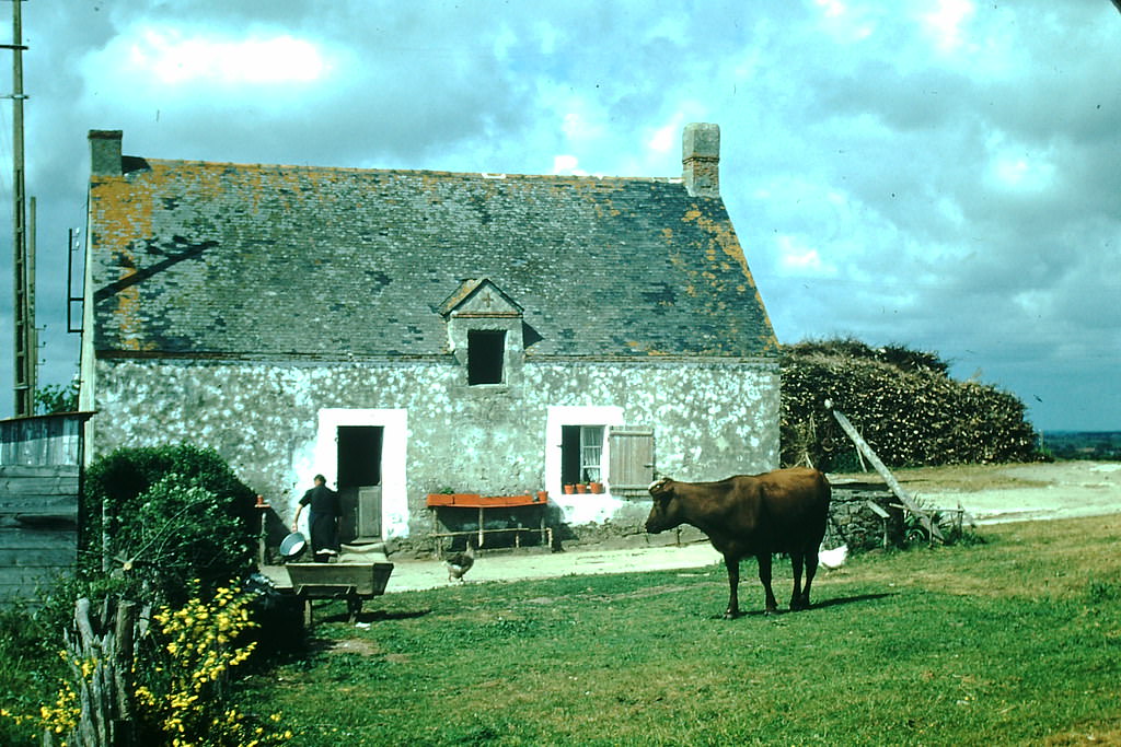 #30 Farm near Guerande, Brittany, France, 1954