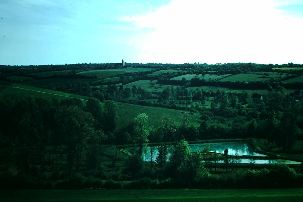#40 Cattle Country Near Chartres, France, 1954