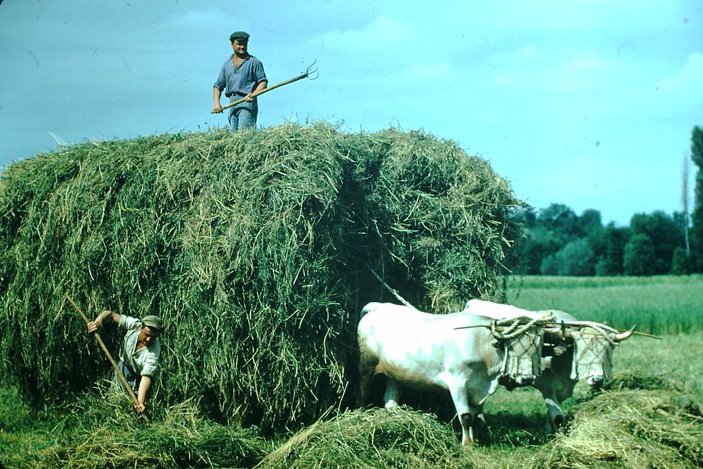 #69 City Hall in Tarbes, France, 1954