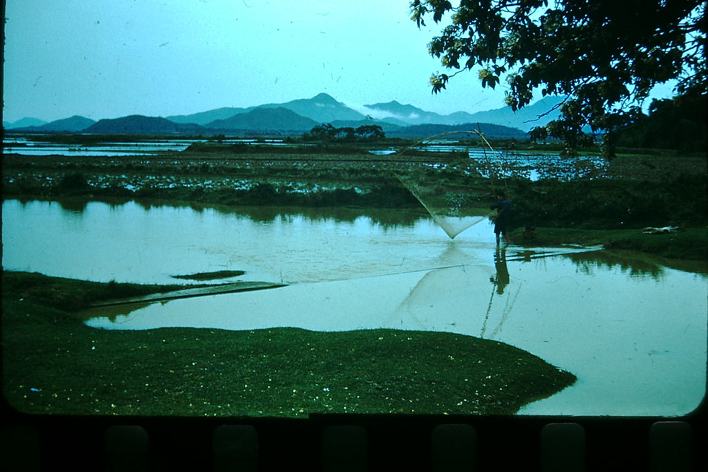 #25 Netting Shrimp, Hong Kong, 1952