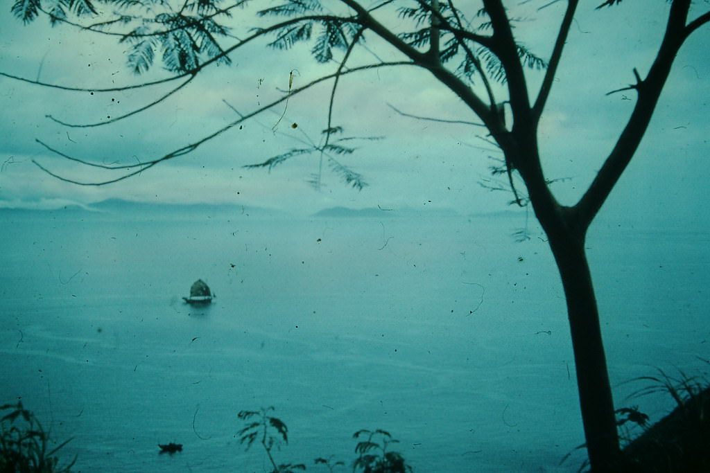 #27 Oriental Evening, Hong Kong, 1952
