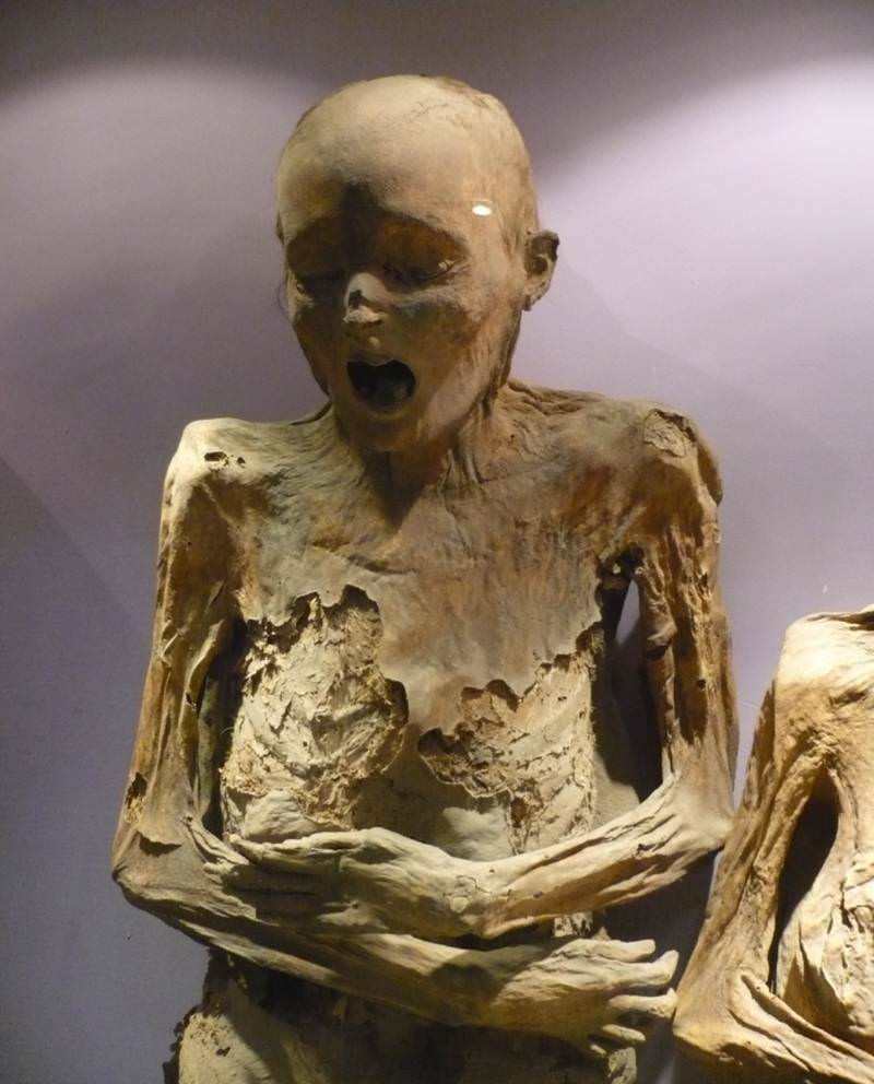 #10 One of the Guanajuato mummies.