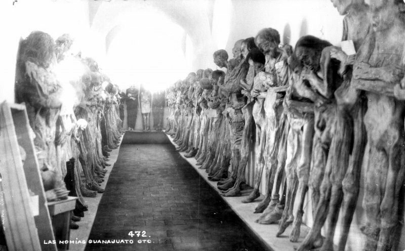 Mummies of Guanajuato: Shocking Photos of the Corpses dates back to a Cholera Outbreak in 1833 Weir