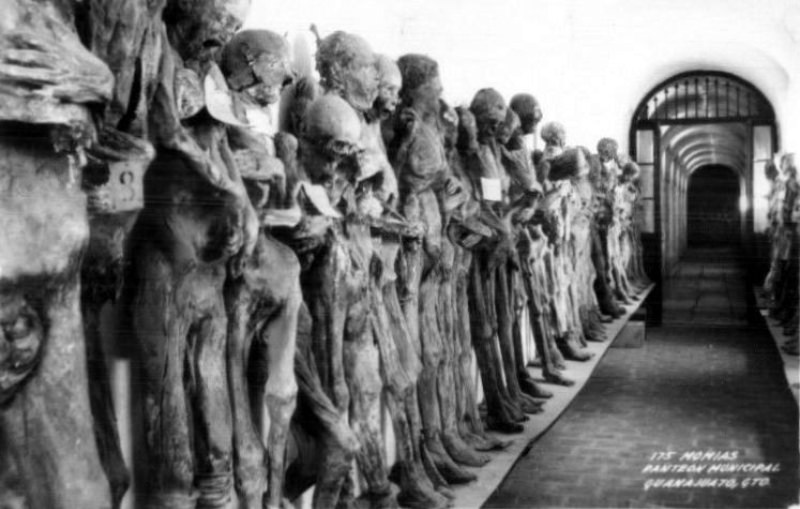 Mummies of Guanajuato: Shocking Photos of the Corpses dates back to a Cholera Outbreak in 1833 Weir