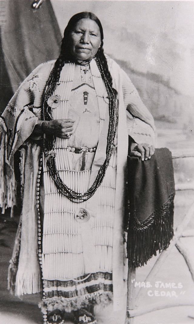 #18 Mrs. James Cedar