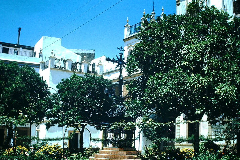 #59 Plaza in Santa Cruz- Cevilla, Spain, 1954