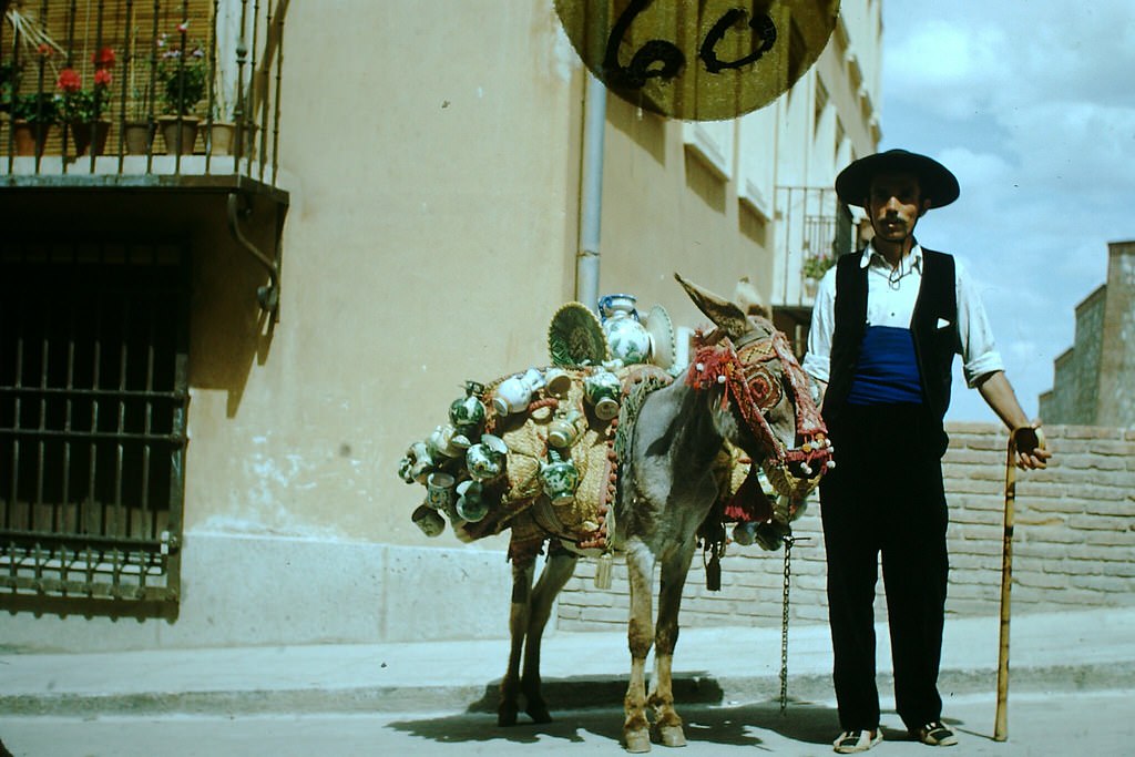 #67 The Tourists Friend- Toledo, Spain, 1954