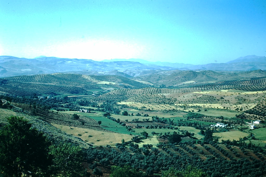 #72 Valley nr Loja on way to Mallaga, Spain, 1954