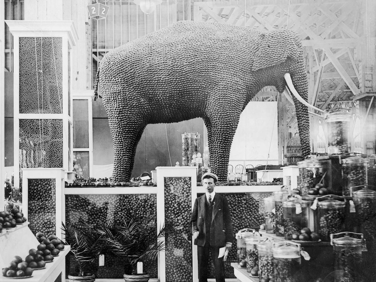 #13 Inside the Palace of Horticulture, an elephant made from almonds stands in the California exhibit.