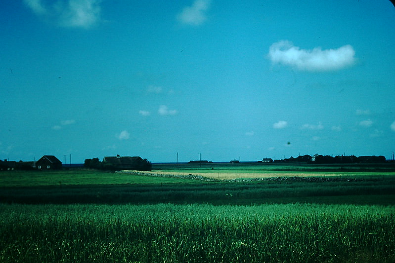 #12 Landscape Near Varberg on Coast, Sweden, 1954