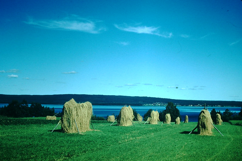 #17 Upper Siljan Lake, Sweden, 1954
