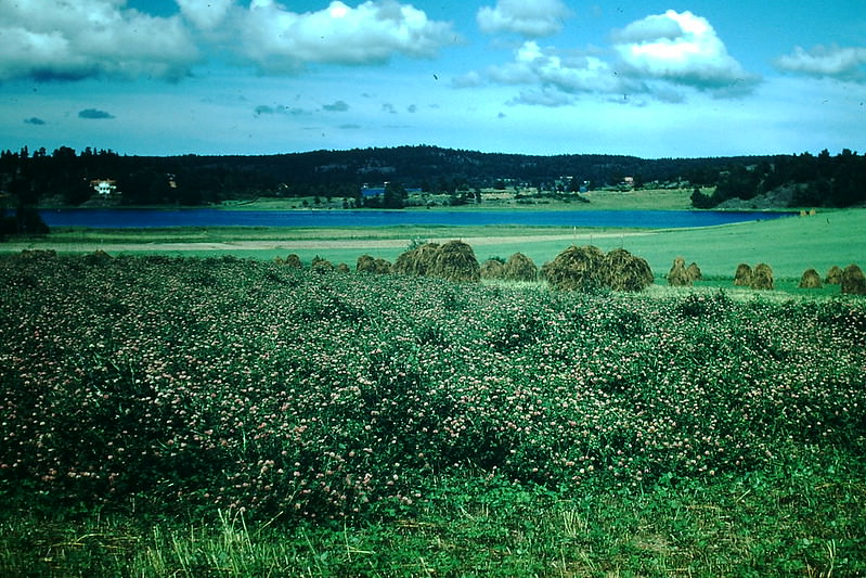 #24 Sound Near Gameley, Sweden, 1954
