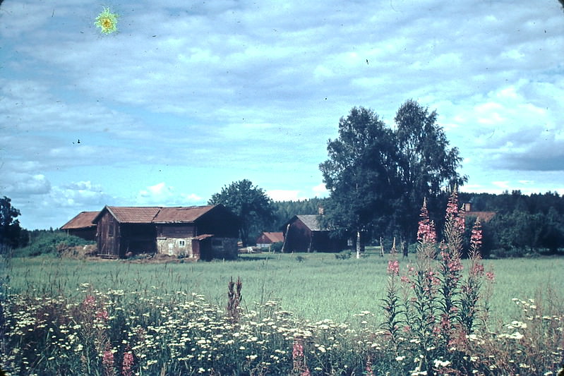 #37 Near Hedemora, Sweden, 1954