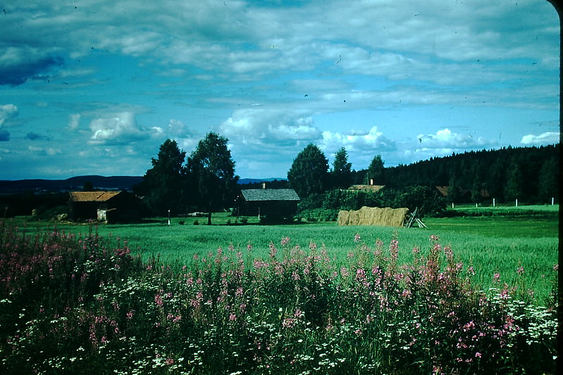 #38 Near Hedemora, Sweden, 1954