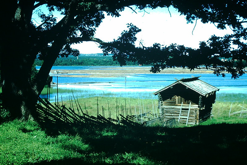 #40 Near Rattvik, Sweden, 1954