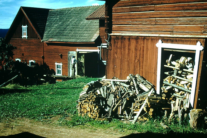 #41 Putting Hay near Rattvik, Sweden, 1954