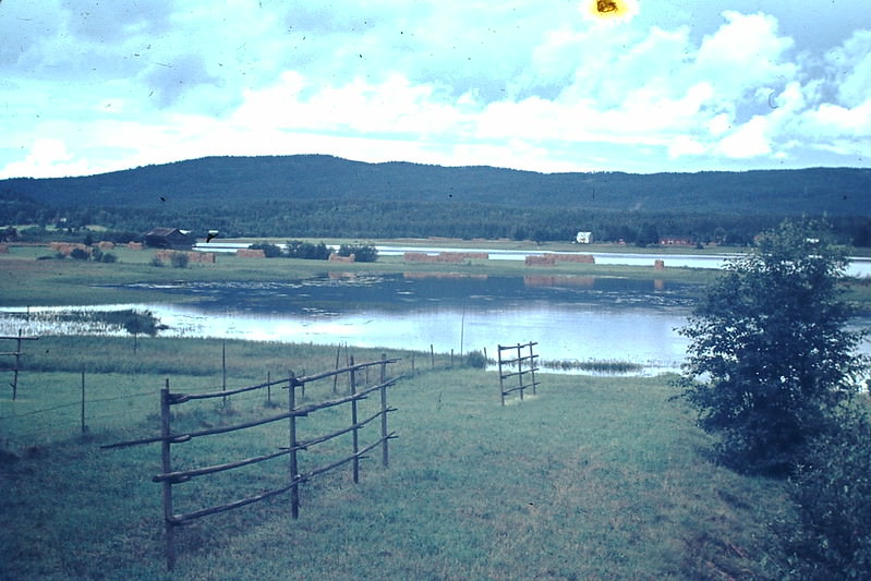 #44 Lake Near Torsay, Sweden, 1954