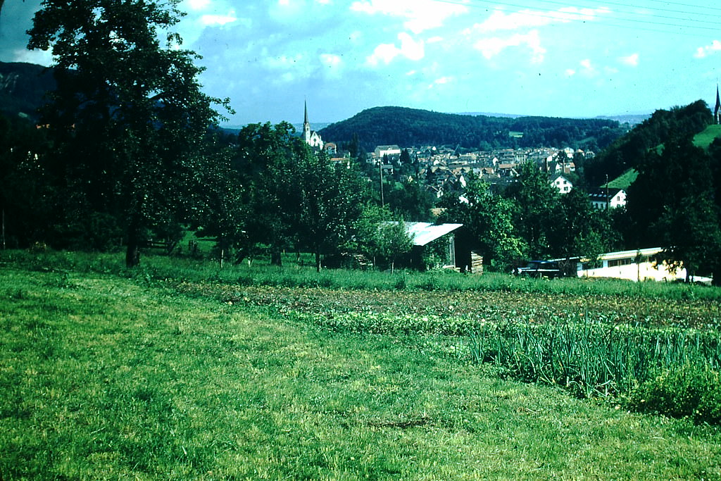 #27 Suburb of Zurich, Switzerland, 1954